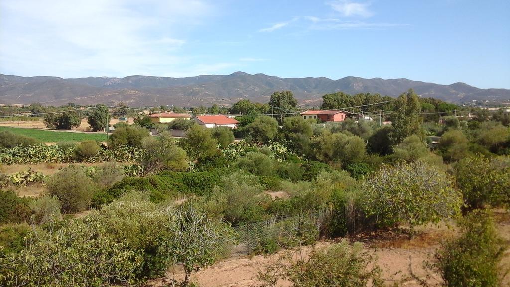 Villa Renzo E Lucia Sant Isidoro  Bagian luar foto